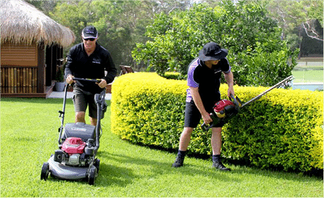 Express Lawn Mowing