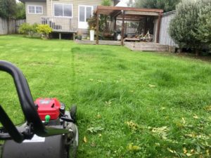 Coastal mowers outlet raumati