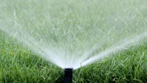 When should you water the lawn – using sprinklers for irrigation